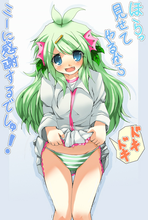 VFC~̃~CVF